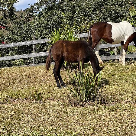 Fazenda Do Engenho Hotell Santa Rita do Rio Abaixo Eksteriør bilde