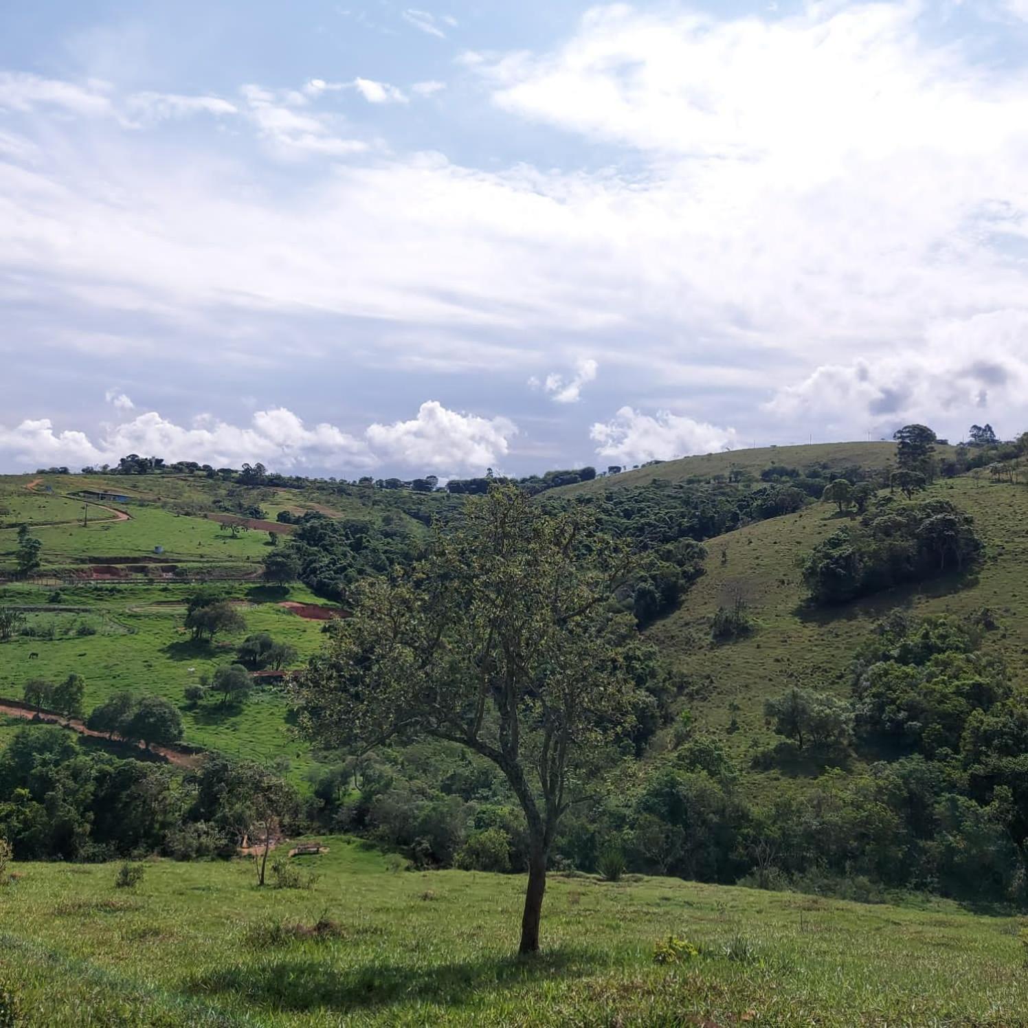 Fazenda Do Engenho Hotell Santa Rita do Rio Abaixo Eksteriør bilde