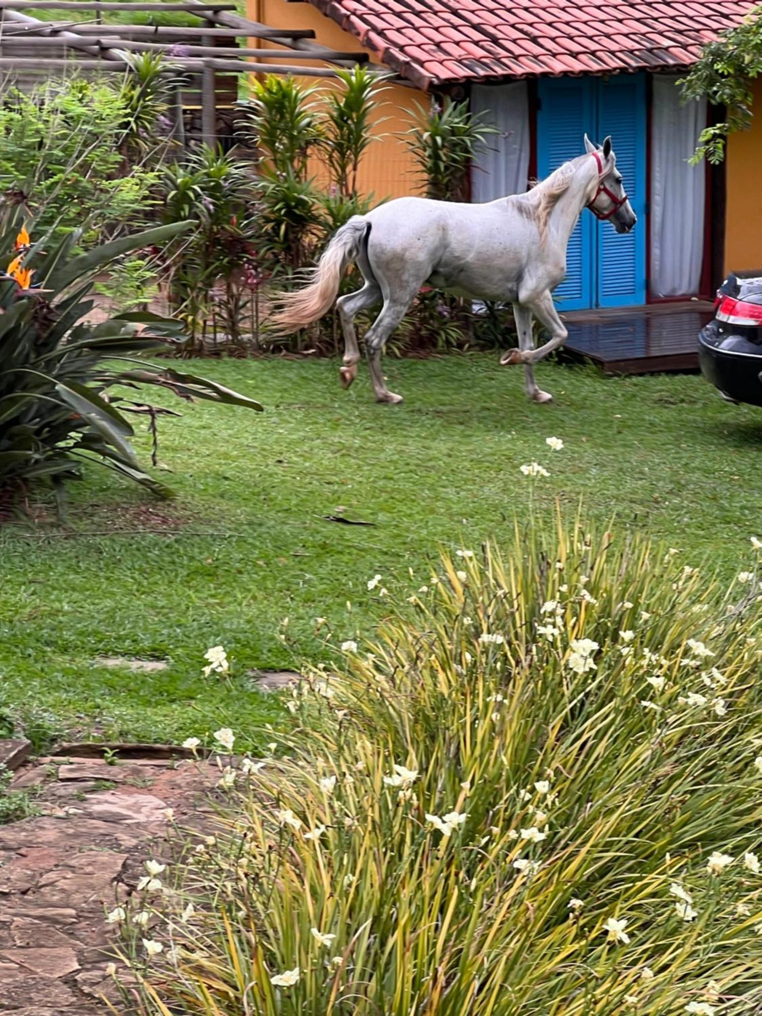 Fazenda Do Engenho Hotell Santa Rita do Rio Abaixo Eksteriør bilde