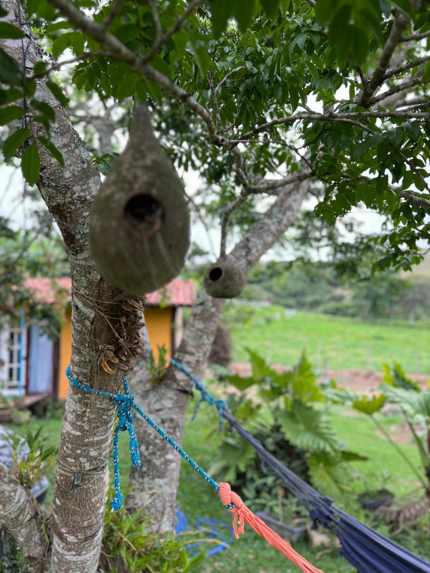 Fazenda Do Engenho Hotell Santa Rita do Rio Abaixo Eksteriør bilde