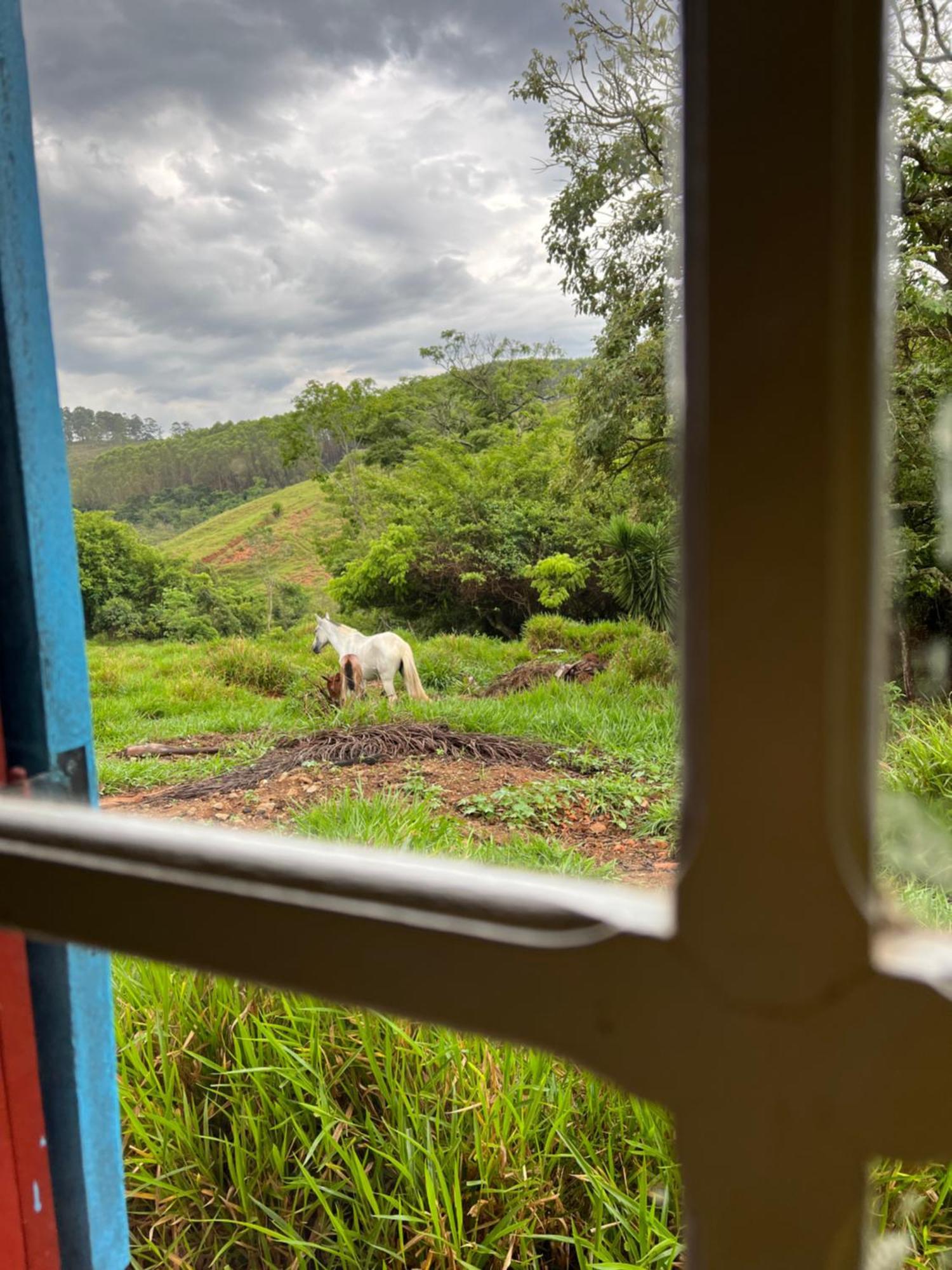 Fazenda Do Engenho Hotell Santa Rita do Rio Abaixo Eksteriør bilde