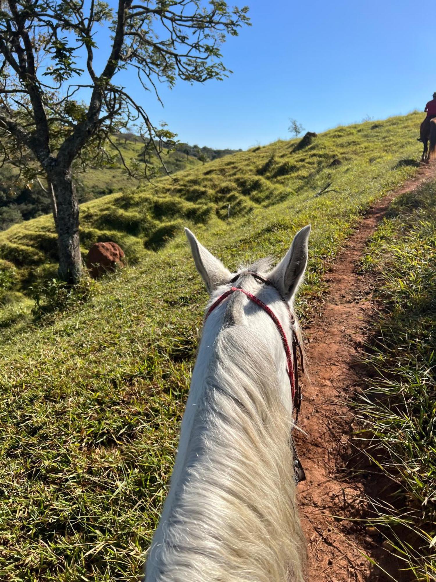 Fazenda Do Engenho Hotell Santa Rita do Rio Abaixo Eksteriør bilde